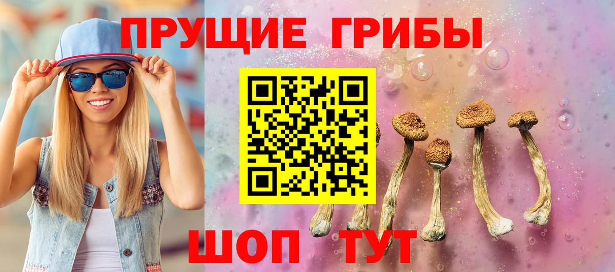 что такое   Псилоцибиновые грибы Psilocybe  Вход с VPN  Реж 