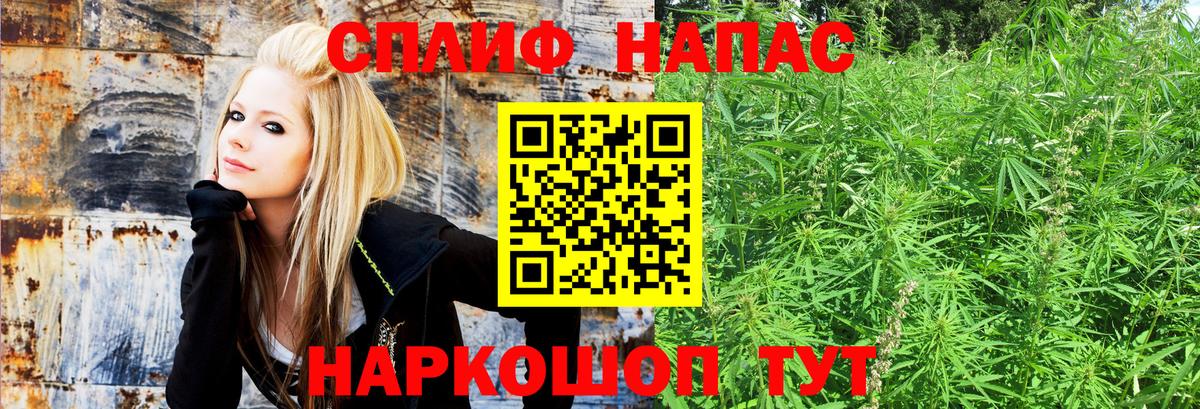 Каннабис конопля  Бошки Шишки гибрид  Реж  Вход с VPN  Каннабис Amnesia 